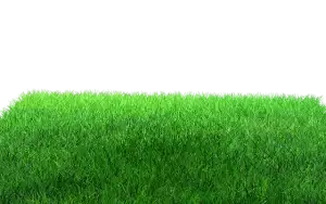 lawn-care-640x480-29461485.png