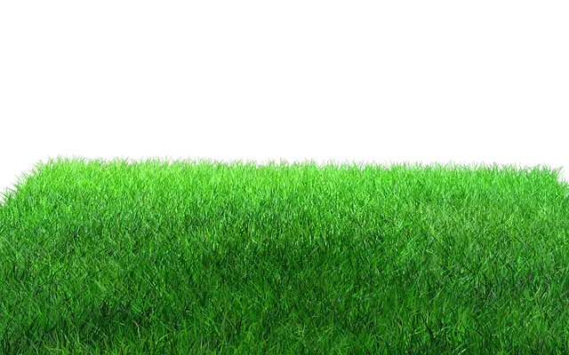 lawn-care-640x480-29461485.png