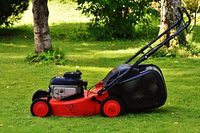 lawn-care-640x480-49483368.jpeg