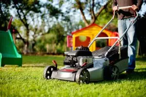 lawn-care-640x480-6841190.jpeg