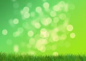 lawn-care-640x480-93510571.jpeg