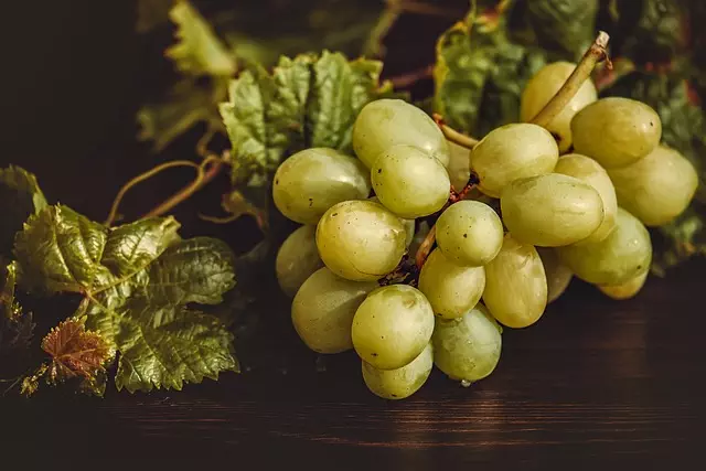 Navigating Dietary Restrictions with Local Food Delivery and Meal Prep Solutions