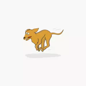 pet-sitting-640x480-7964140.png