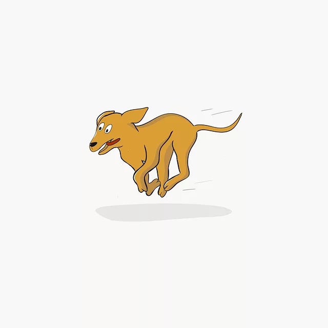 pet-sitting-640x480-7964140.png