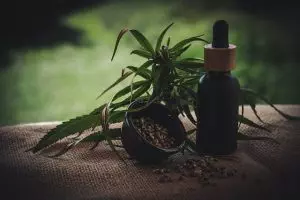 best-cbd-edibles-640x480-85855392.jpeg