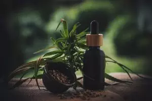 cbd-pain-relief-cream-640x480-11747082.jpeg