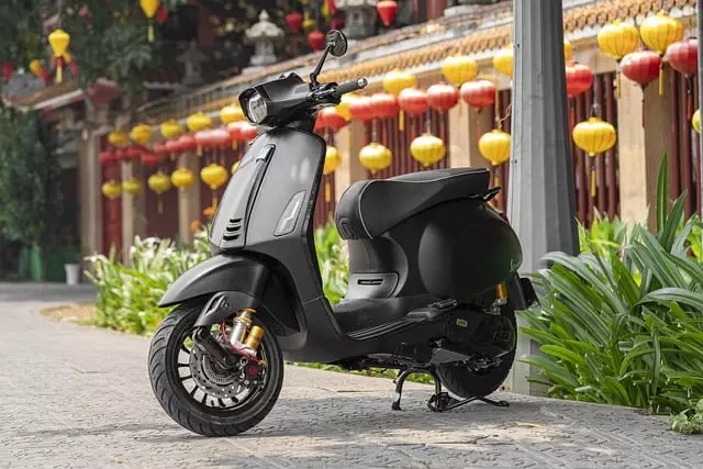 electric scooters for adults