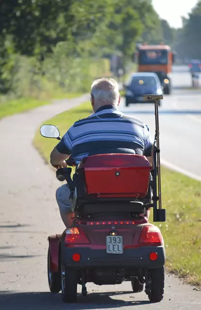 electric scooters for adults