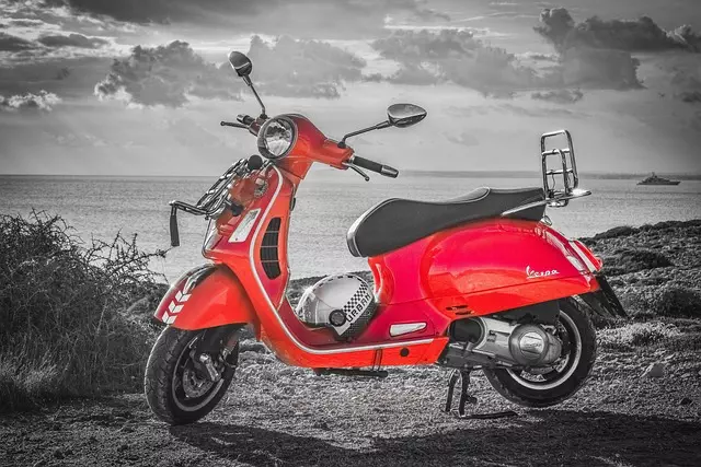 electric scooters for adults