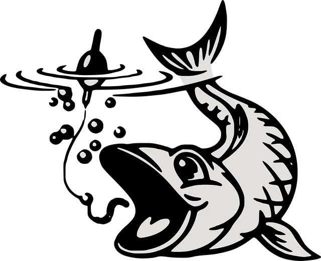 fishing-kayak-640x480-5764199.png
