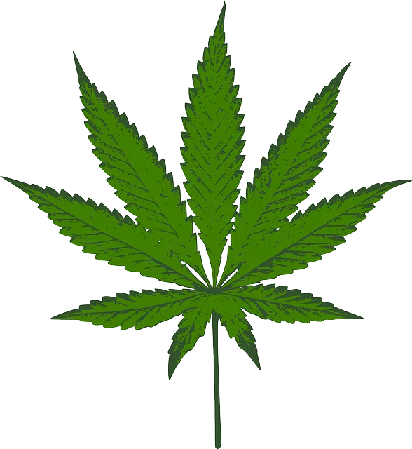 full-spectrum-hemp-oil-640x480-23141662.png