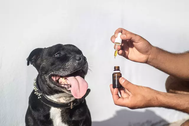 Full Spectrum Hemp Oil