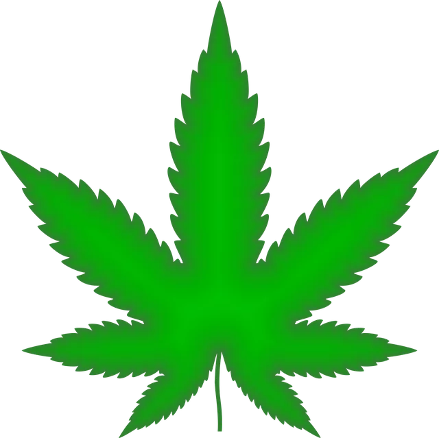 full-spectrum-hemp-oil-640x480-50991325.png