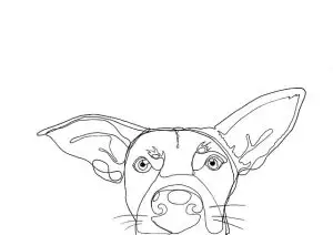 heated-dog-house-640x480-51867507.jpeg