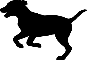 heated-dog-house-640x480-86062624.png