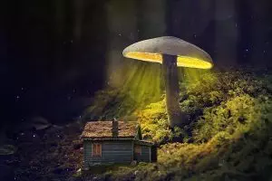 house-640x480-81116701.jpeg