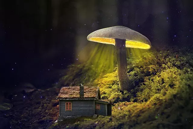 house-640x480-81116701.jpeg