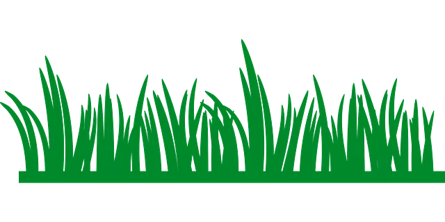 lawn-care-640x480-2604051.png