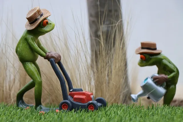 lawn-care-640x480-69781226.jpeg
