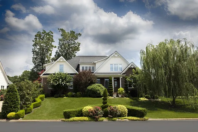 lawn-care-640x480-7178780.jpeg