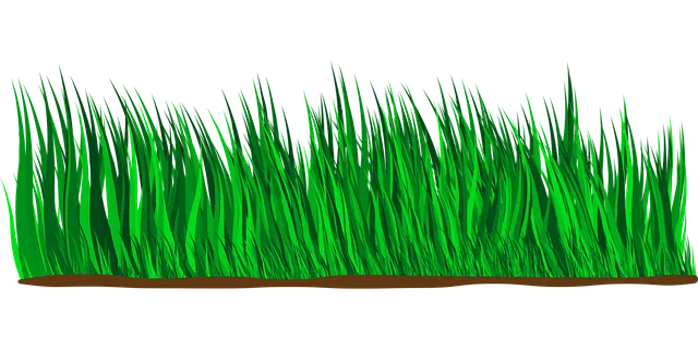 lawn-care-640x480-84673159.png