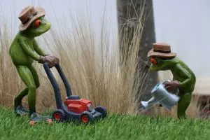 lawn-care-640x480-90976747.jpeg