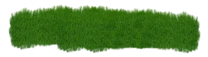Optimizing Your Lawn: A Guide to Planning and Installing Efficient Irrigation Systems for Enhanced Landscaping