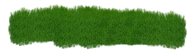 lawn-care-640x480-92566833.png
