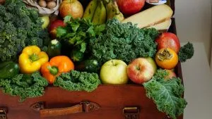 Local Harvest: Unveiling the Farm-to-Table Service Revolution