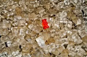 mushroom-gummies-for-focus-640x480-74014141.jpeg