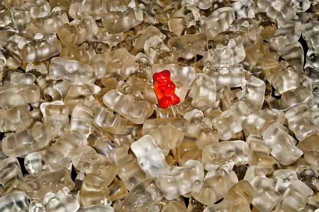 mushroom-gummies-for-focus-640x480-74014141.jpeg
