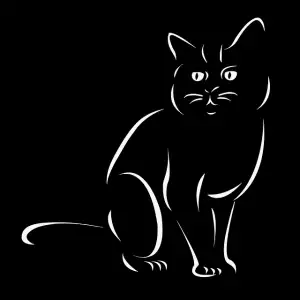 pet-sitting-640x480-55047277.png