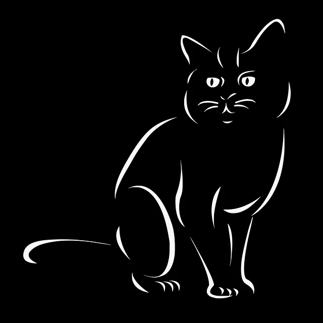 pet-sitting-640x480-55047277.png