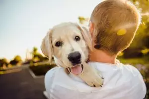pet-sitting-640x480-89841266.jpeg