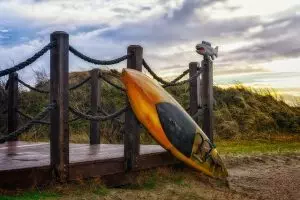 surfboard-for-beginners-640x480-14388239.jpeg