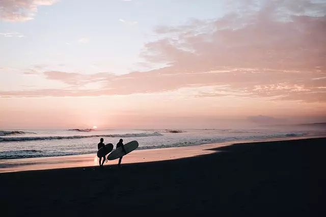 surfboard for beginners