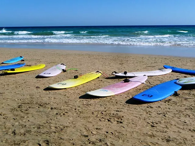 surfboard for beginners