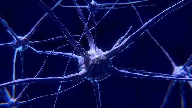 understanding-the-endocannabinoid-system-640x480-56742399.jpeg