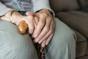 Elderly Companion Services: Your Guide to Senior-Friendly Home Maintenance