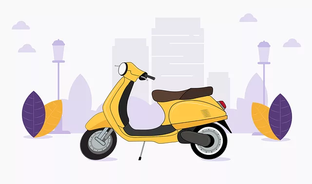 electric scooters for adults