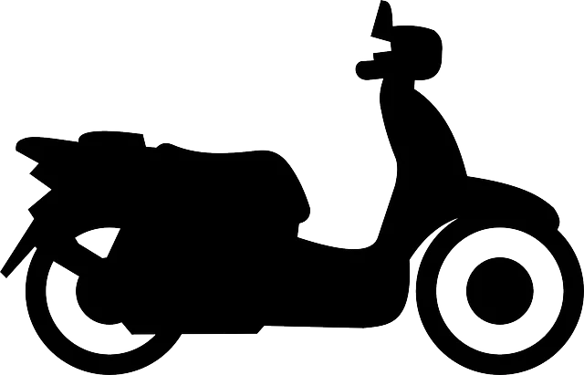 electric scooters for adults