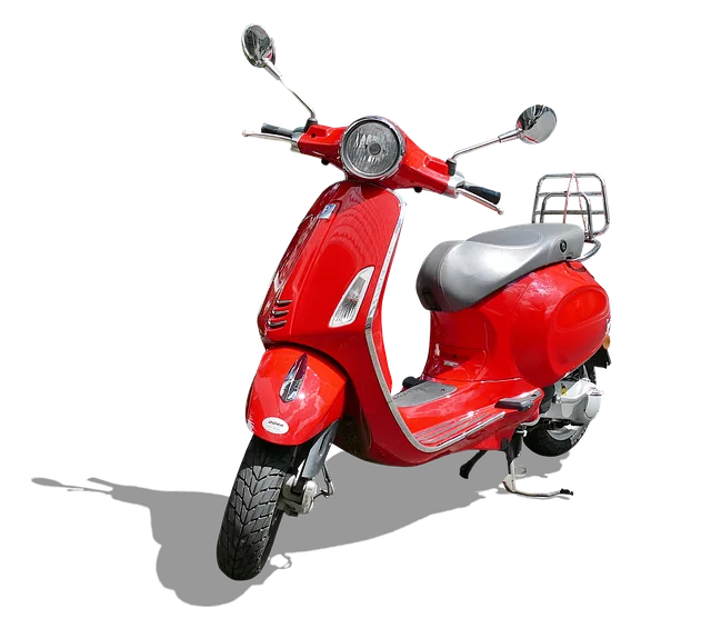 electric scooters for adults