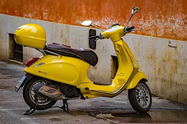 electric scooters for adults