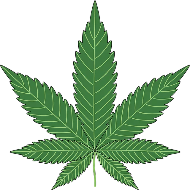 Full Spectrum Hemp Oil