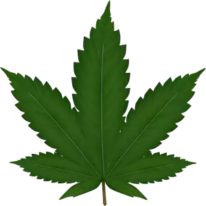 hemp-terpenes-for-sale-640x480-87428672.png