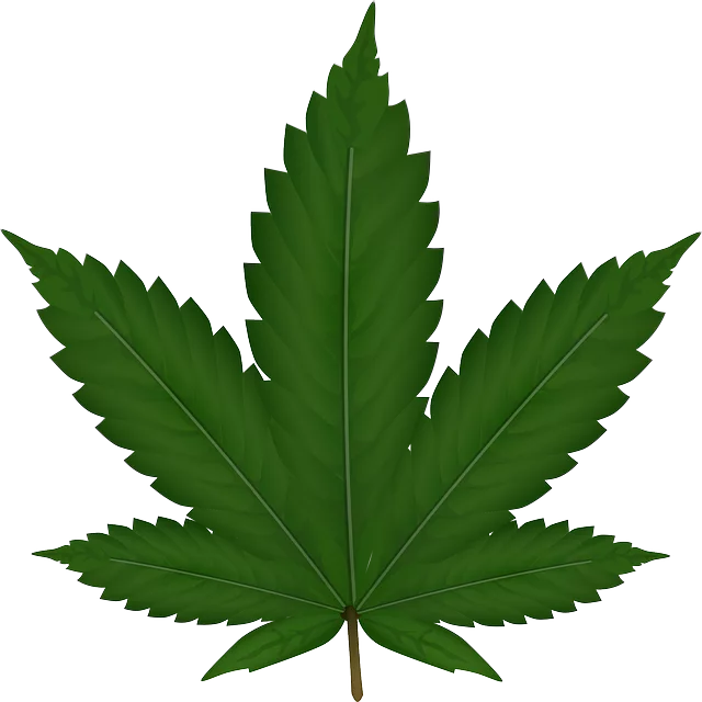 hemp-terpenes-for-sale-640x480-87428672.png