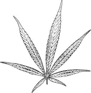 ko-blend-thc-disposable-640x480-2638499.png