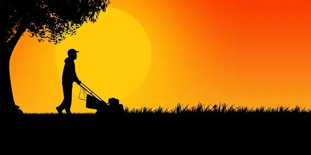 lawn-care-640x480-3615039.jpeg