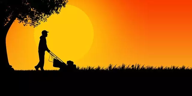 Lawn Care