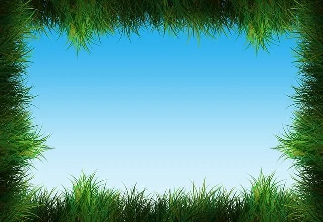Lawn Care